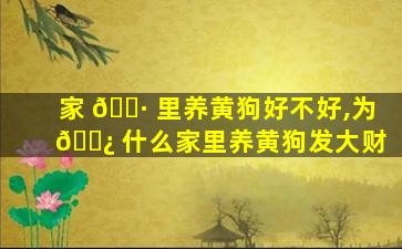 家 🕷 里养黄狗好不好,为 🌿 什么家里养黄狗发大财
